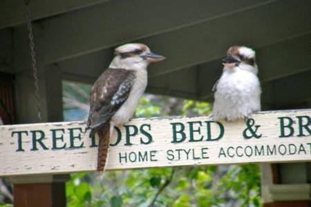 Treetops Bed & Breakfast Blackburn Екстериор снимка